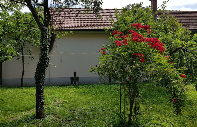 Villa Coola - Photo 37