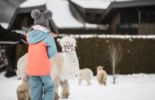 Aparthotel Familiaris - Family Apartments - Pools & Spa in Dolomites - Foto 50