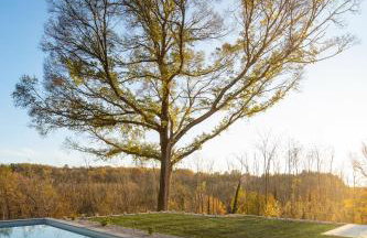 Villa Ulmus near Motovun for 6 people with heated pool & jacuzzi - Foto 18