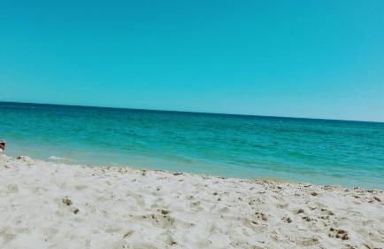 Apartamento 157, Pedras d’el Rei - Foto 53