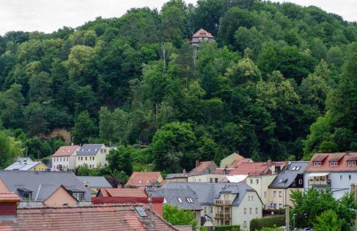 Ferienvilla Bad Schandau - Foto 67