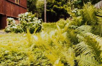 Dom Królowy Most 67 - Foto 22