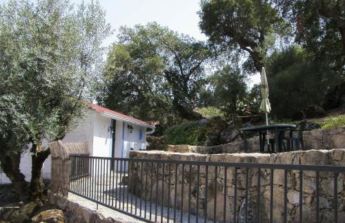 Flor da Ramila - Foto 19