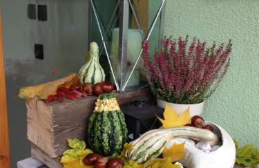 Mason La Zondra - Foto 34