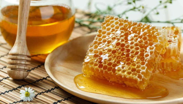 Miel y Proción de un panal de abejas
