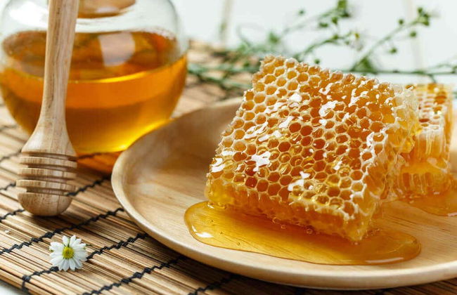 Visita a una bodega de miel - Foto 2