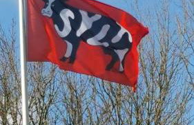 Ferienwohnung op de Warft - Foto 29