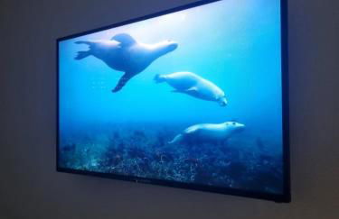 Sunrise condo - Foto 27