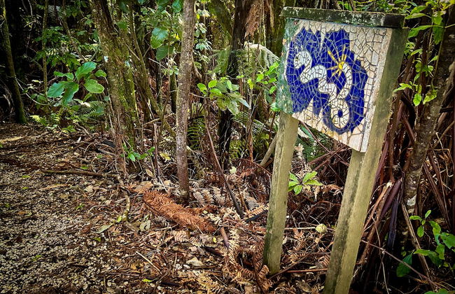 Te Tiro Accommodation - Foto 40