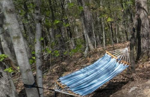 Relaxing 2-Master Suite Mountain Top - Fire Pit - Foto 48