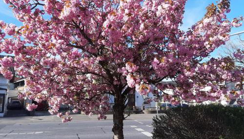 FEWO Gerdi und Hanne - Foto 3