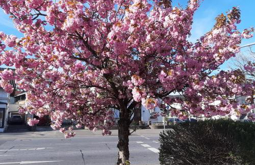 FEWO Gerdi und Hanne - Foto 3
