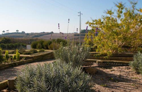 Entre Vinhas & Mar - Foto 55