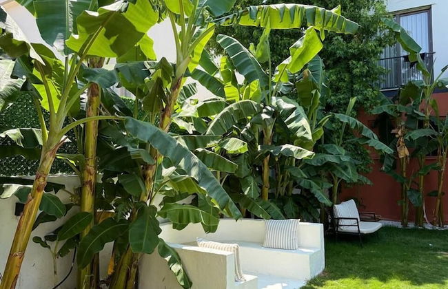 Aden suit apart - Foto 28