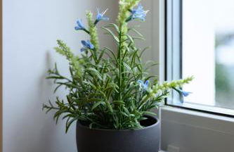 Wohnungen in Köln-Messe - Photo 7