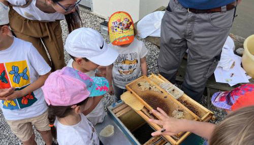 Agriturismo da Natalino - Foto 5