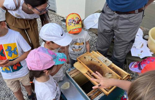 Agriturismo da Natalino - Foto 5