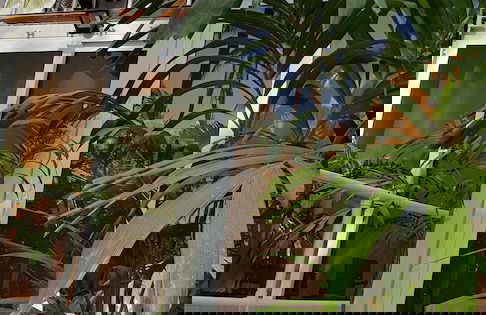 La Hola Villas - Photo 25