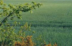 Bei Oparius - Photo 30