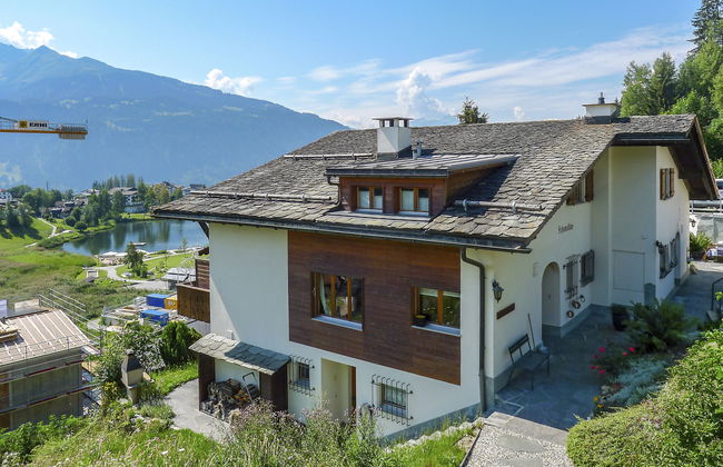 Schumellins (LAA400) - Foto 16