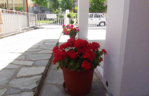 Dimitra's Apartments - Foto 35