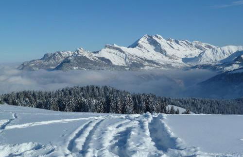 Duplex confortable 6 pers avec parking à La Clusaz - FR-1-459-78 - Foto 9