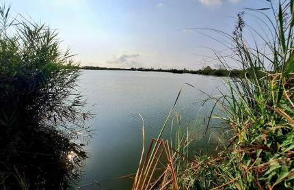 Chalet adosado junto al mar en Almarda Sagunto - Foto 32