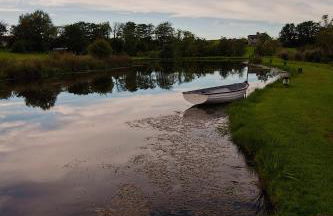 The Cabin - Luxury Country Living - Foto 29