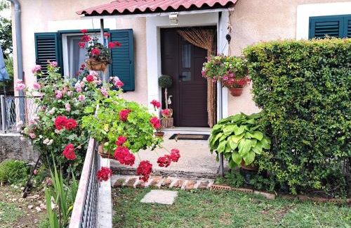 Holiday home "Goga" ruralna kuća - Foto 1