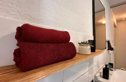 Schwarzwaldraum Schlossblick - Foto 17