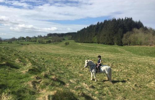 The Granary at Pentregaer Ucha, tennis court & lake. - Foto 32