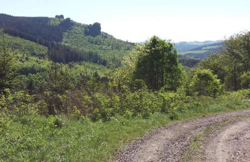 Ferienwohnung Panorama II - Foto 12