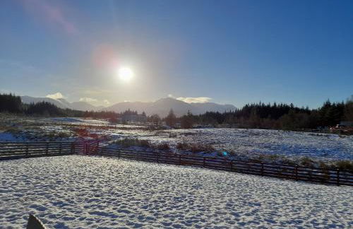 Toradh Cabin - Photo 21
