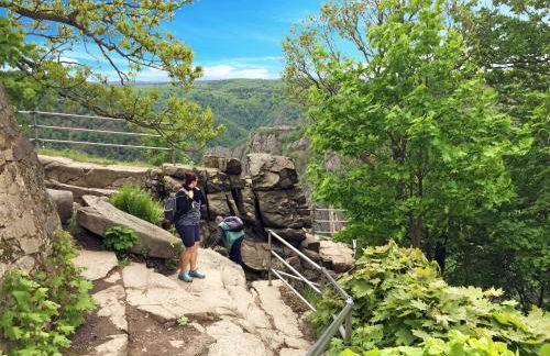 Harzer Feriengarten - Foto 66