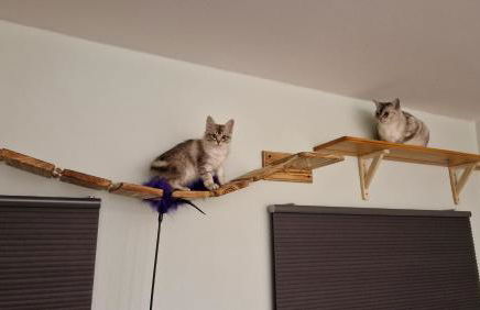 Fun holiday lodges in historic walled garden near Falkirk, Heart of Scotland Holidays - Foto 73