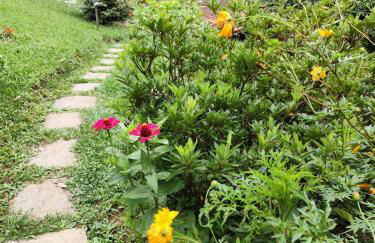 Chalé Sorrizão- Visconde de Mauá - Photo 3