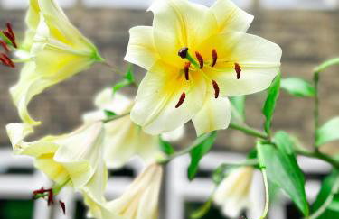 New Hall, Elland - Foto 37