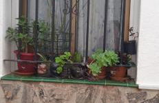 Casa Fuente del Caño - Foto 26