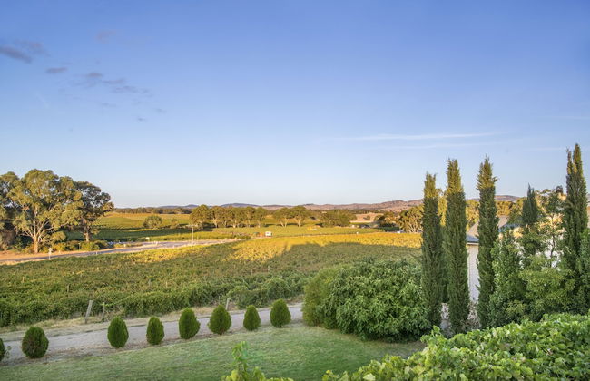 Barossa Shiraz Estate - Photo 47