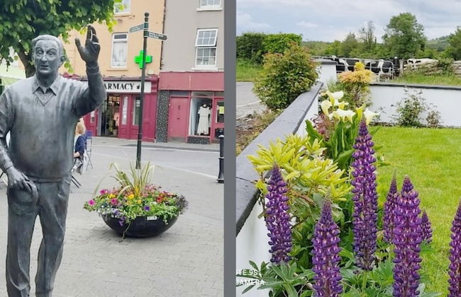 Cozy Cottage Retreat in Listowel pet Friend - Foto 24