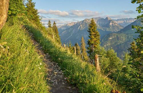 Ferienwohnungen Kappeler - Foto 18