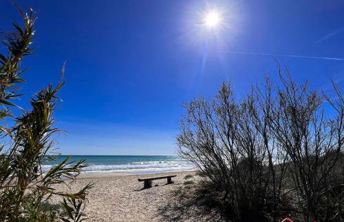 El Mirador - Photo 39