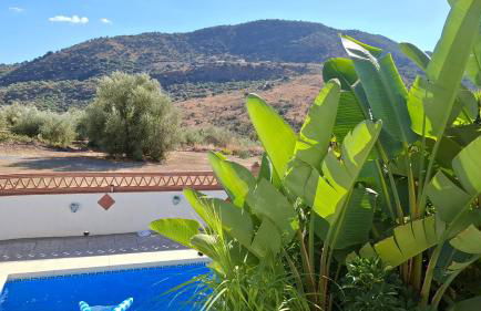 Villa Mondriana - Foto 19