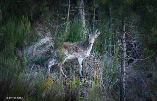 Casa rural LAS TABLAS - Foto 14