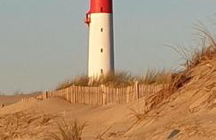 Gîte 2 à 4 pers Les Pommes de Pin Les Mathes La Palmyre proche zoo et plages - Photo 25