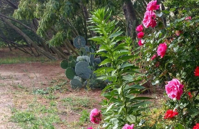 Casa Orsoni - Photo 35