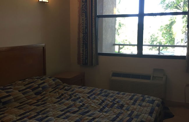 Palm Residence - Photo 4