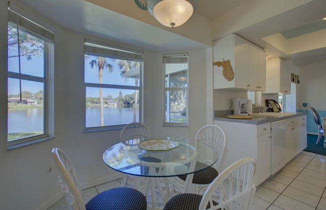 Smiling Dolphin - Foto 8