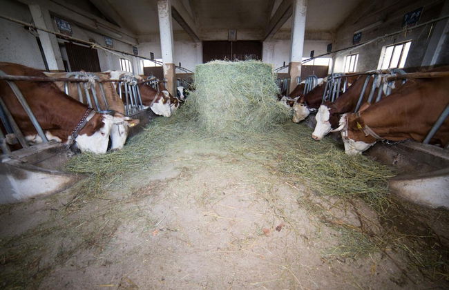 La Fattoria dei Sibillini - Foto 27