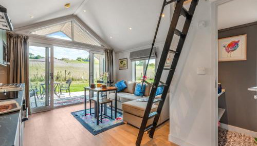 Cranbourne Chase Stargazer - Ukc6914 - Foto 4